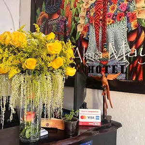 hotel-alma-maya.guatemalaantiguahotels.com/